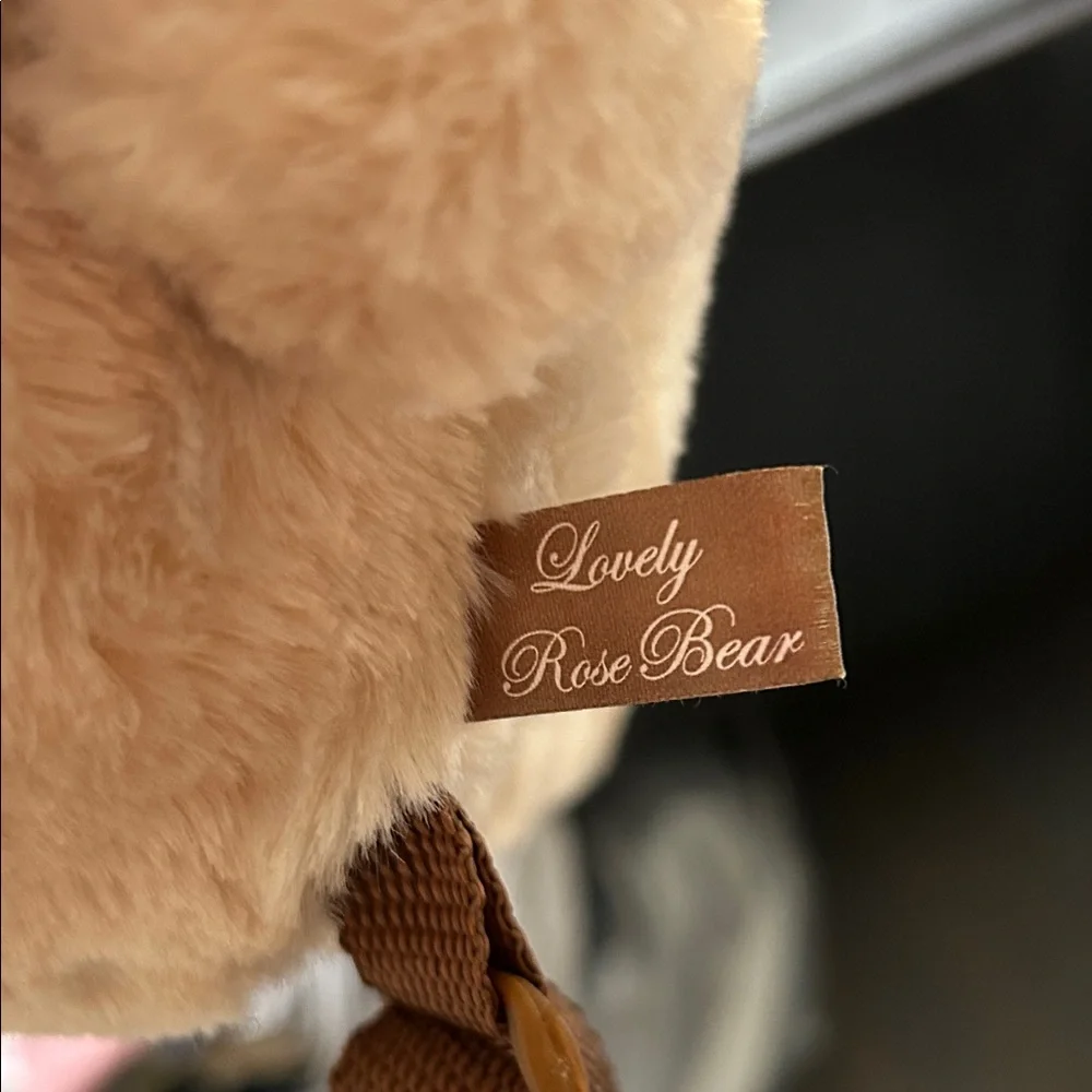 Teddy Bear backpack y.